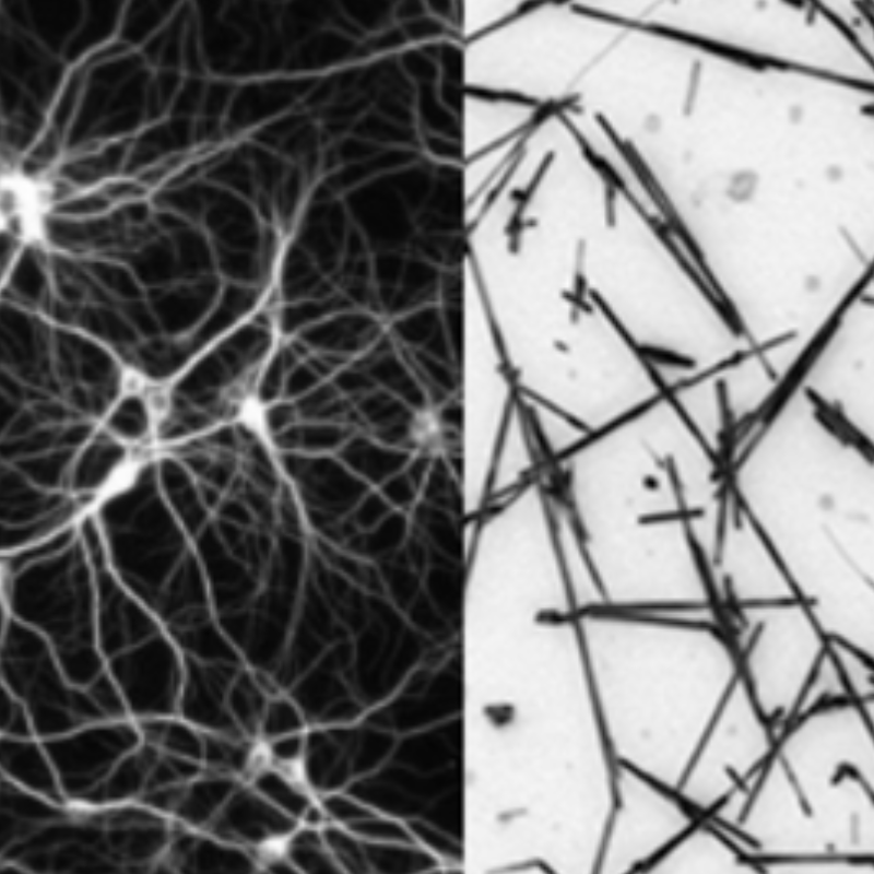 Nanowire networks learn and remember like a human brain