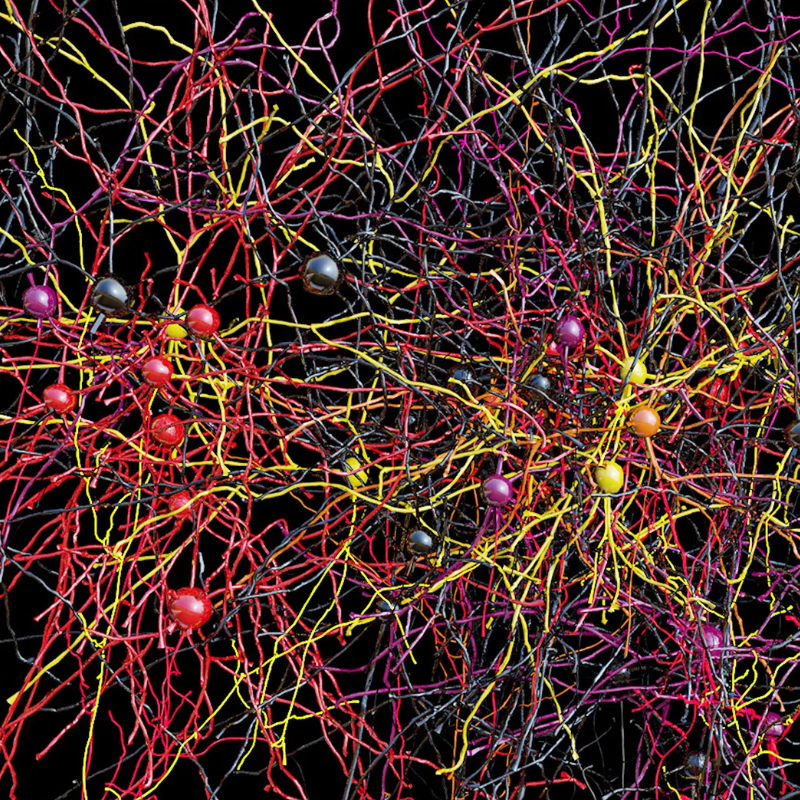 Decades-long bet on consciousness ends—and it’s philosopher 1, neuroscientist 0