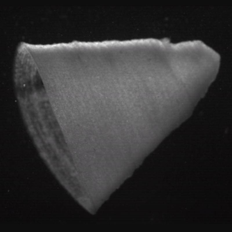 Fiber-infused ink enables 3D-printed artificial-heart muscles to beat