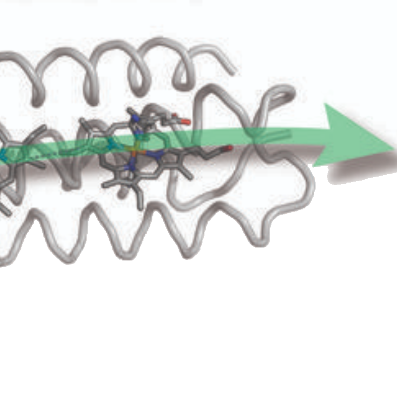 How to create programmable bioelectronic nanowires modeled on human-based proteins