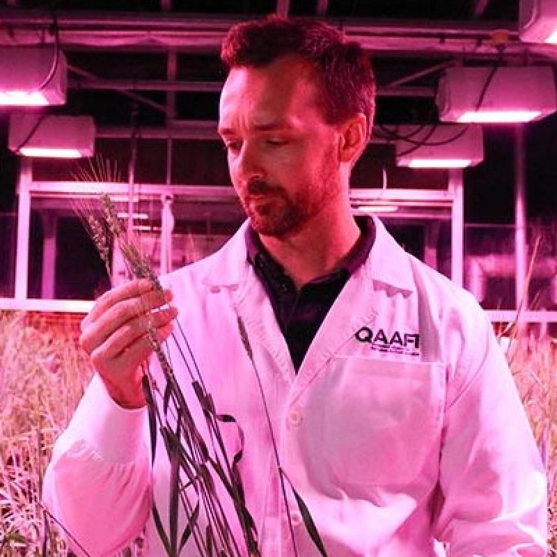 How AI can help feed the world