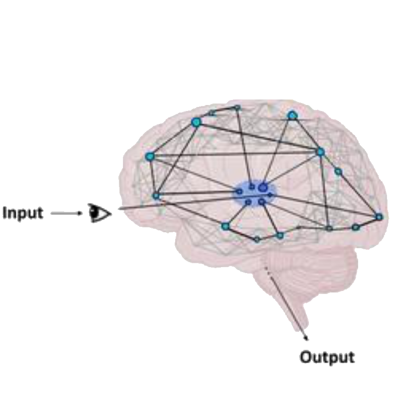 Could AI machines become conscious?