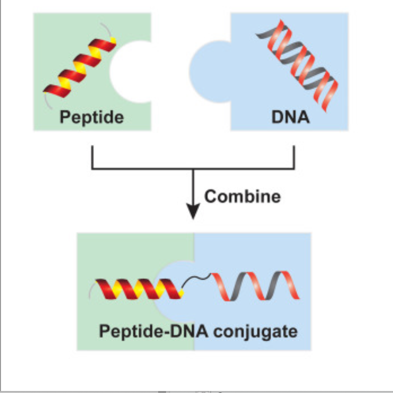 Artificial-life nanostructures: medicine of the future?