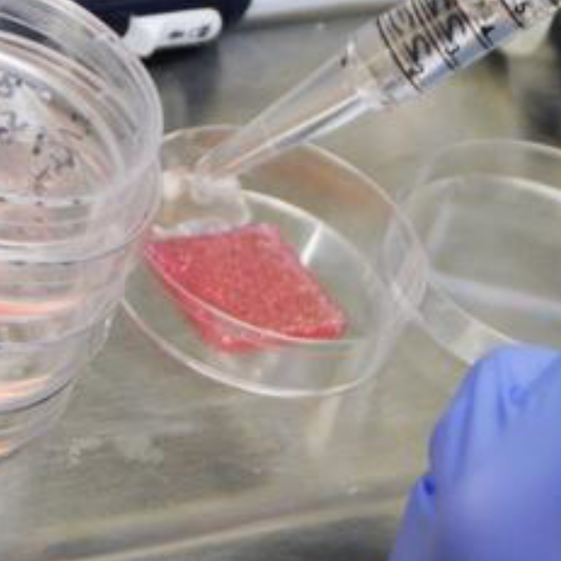 Wound-healing research produces full-thickness human bioprinted skin