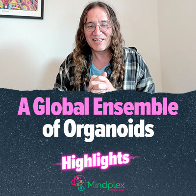 A Global Ensemble of Organoids | Highlights from Season 2