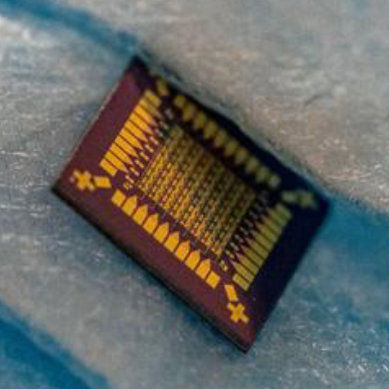 Hybrid biological transistors behave like living tissue