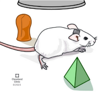 Non-invasive technology maps brain activity to investigate behavior changes in neurological disease