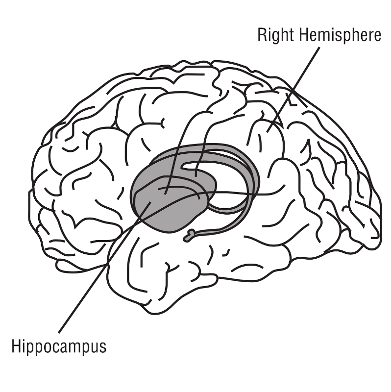 AI's memory-forming mechanism found to be strikingly similar to the brain's