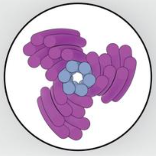 Robotics At The Nanoscale: A DNA-Based Electromotor Powered by Nanopore Flow