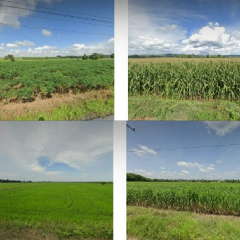 MIT researchers remotely map food crops, using machine learning and satellites