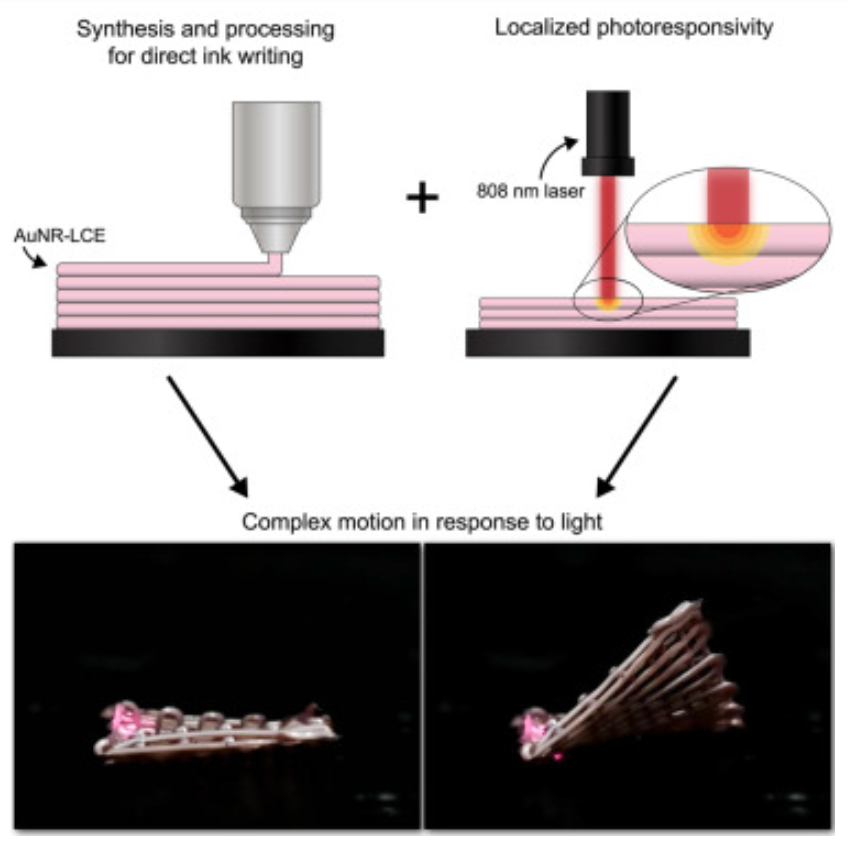Shape-shifting soft machines