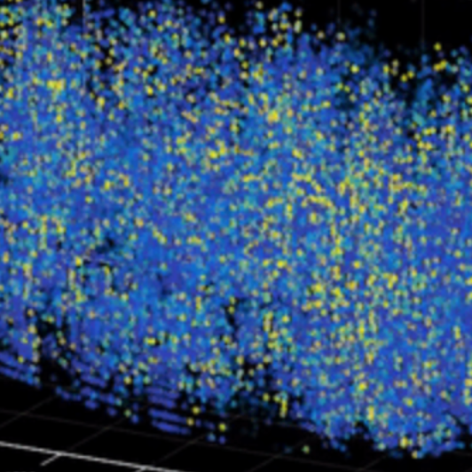New microscopy technique reveals activity of one million neurons across the mouse brain