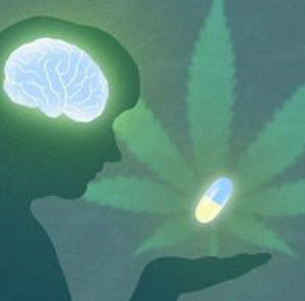 Protecting brain cells with cannabinol