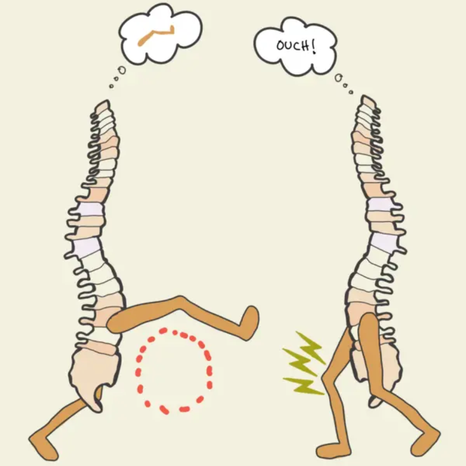 Your spinal cord is smarter than you think