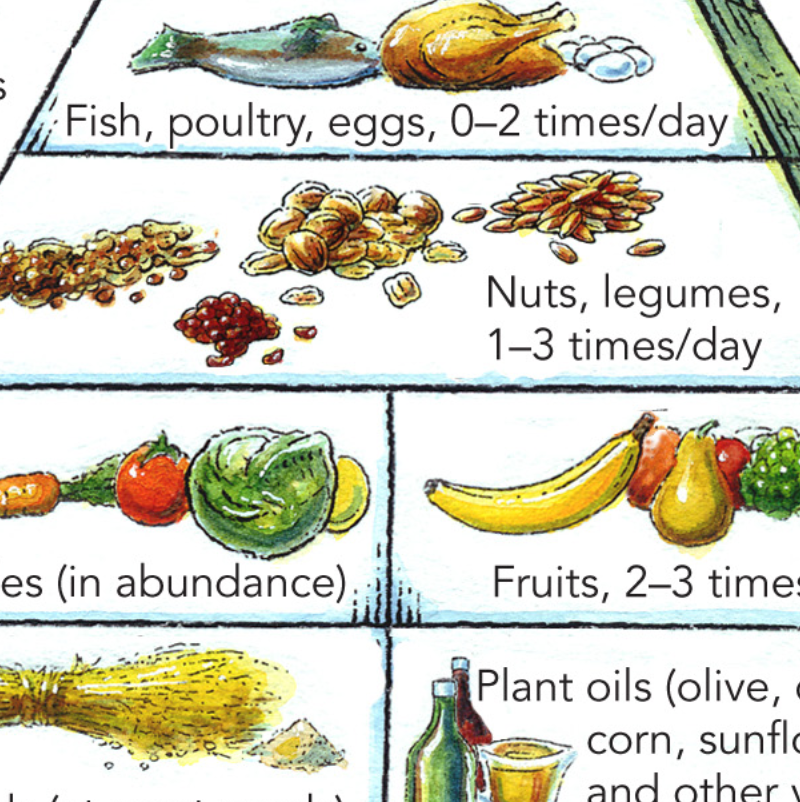 Study links key nutrients with slower brain aging