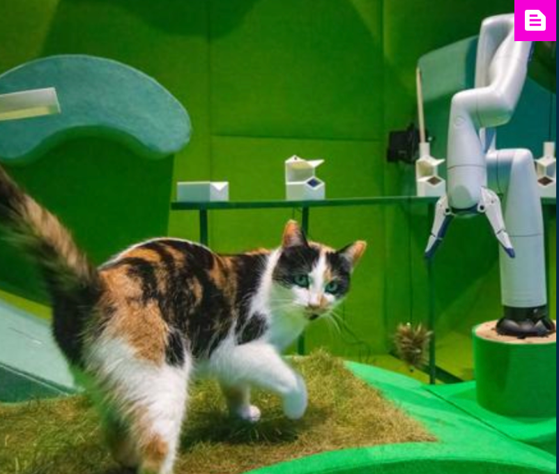 Would you trust a robot to look after your cat?