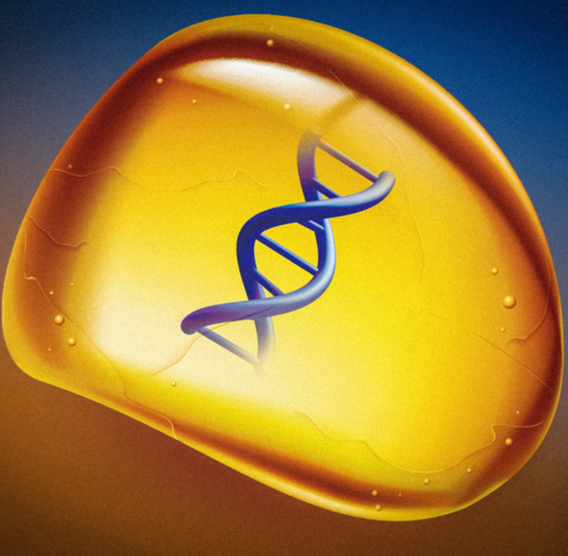 Amber-like polymer allows for long-term storage of DNA and digital files
