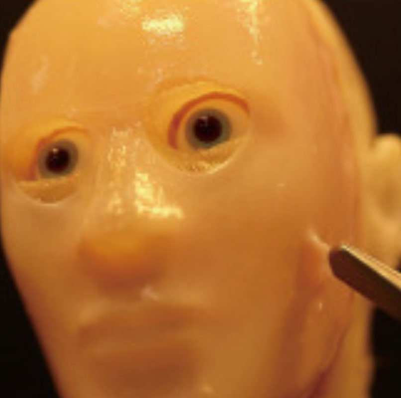 First realistic robot faces