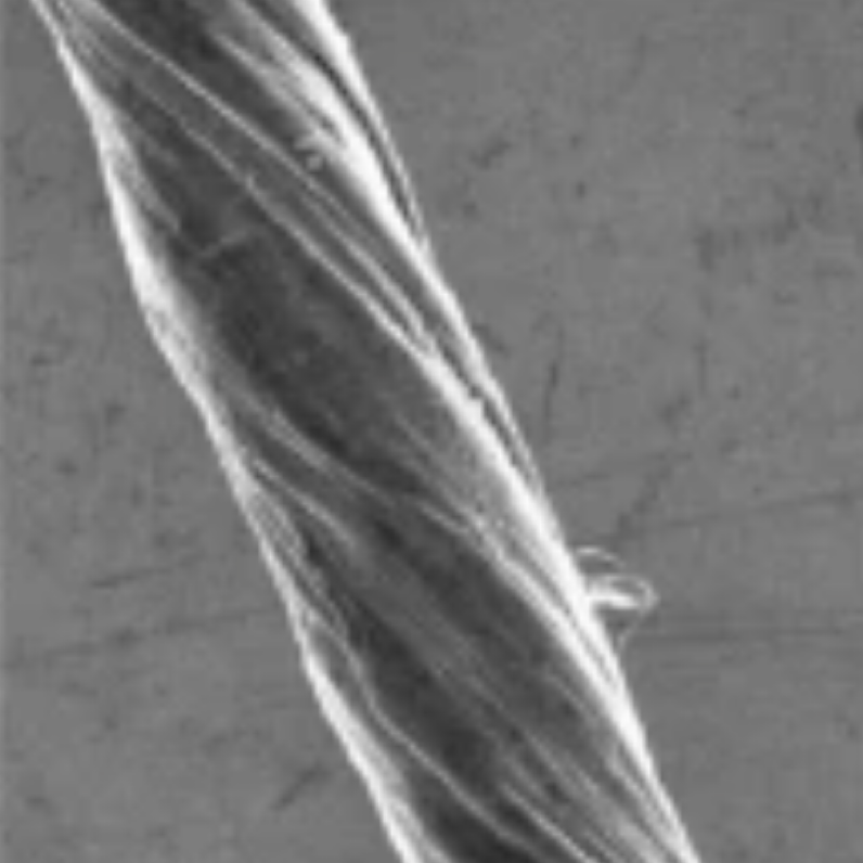 Scientists build powerful energy-storage systems from carbon nanotubes
