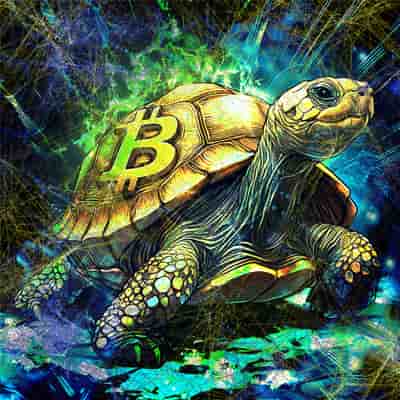 Bitcoin Boundaries