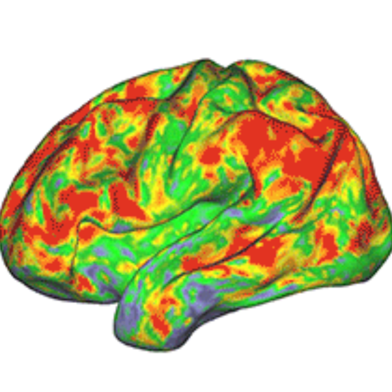 Psilocybin generates psychedelic experience by disrupting brain network