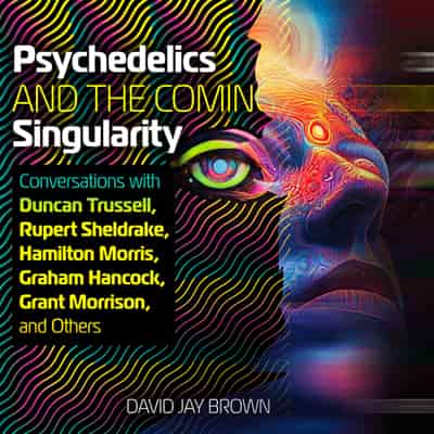 Psychedelics and the Coming Singularity: A Conversation with David Jay Brown about his book