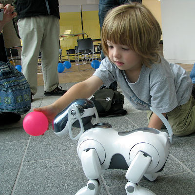 Game shows that humans feel empathy for AI