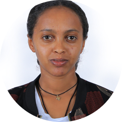 Firehiwot Kebede