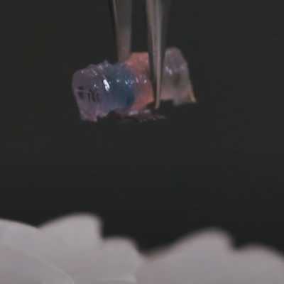 Tiny robots controlled by magnetic fields for targeted drug delivery