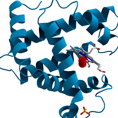 AI-driven protein engineering