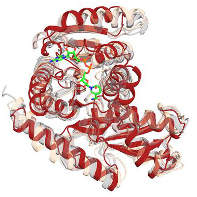 AI designs new proteins for medicine and other applications