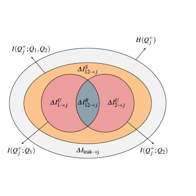 Mathematical analysis of causality in compelx systems