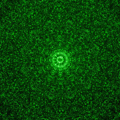 Vortices of light could transport huge amounts of data