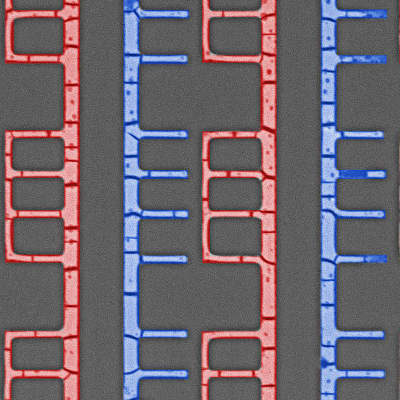 Progress toward self-assembling electronic devices