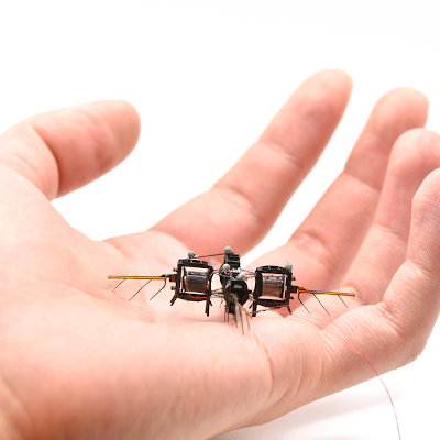 MIT researchers develop agile, sophisticated robotic bees