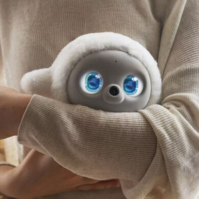 Ropet: a robot pet driven by emotional AI