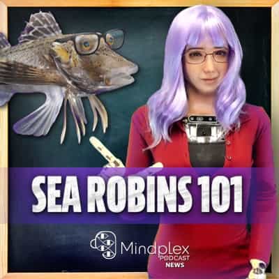 Explore The Amazing Sea Robin's Adaptations