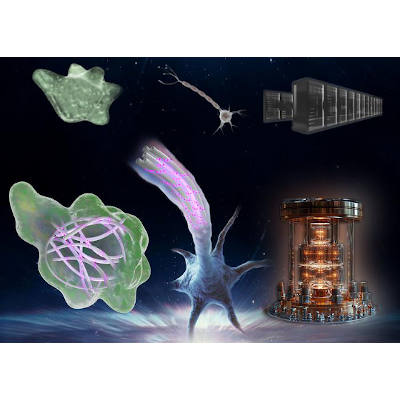 Quantum biology sets new limits on life’s computing power