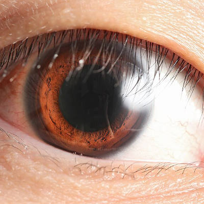 New eye-tracking technology boosts accuracy