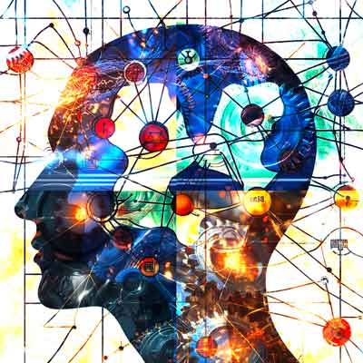 Unlocking Neural Network Potential: The Power of Random Weights and Learned Biases