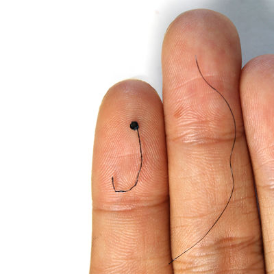 Hairlike device improves brain monitoring