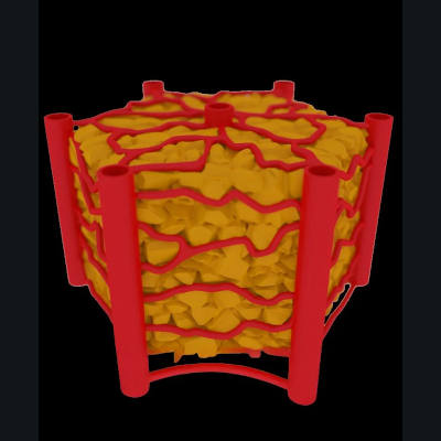 Advancing drug research with organs-on-a-chip
