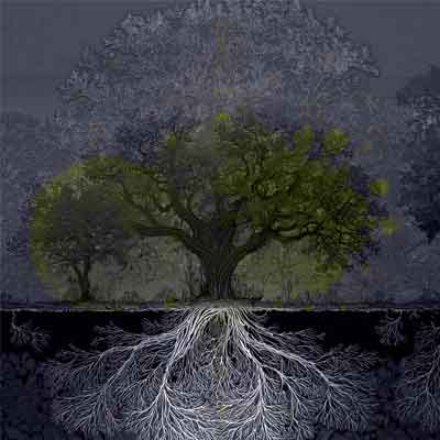 Nature’s Code: Ancient Geometry, Living Networks, and the Future of AI