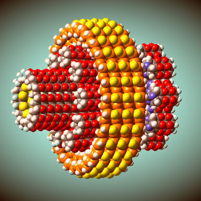 Launching MSEP: a platform for exploring molecular machines