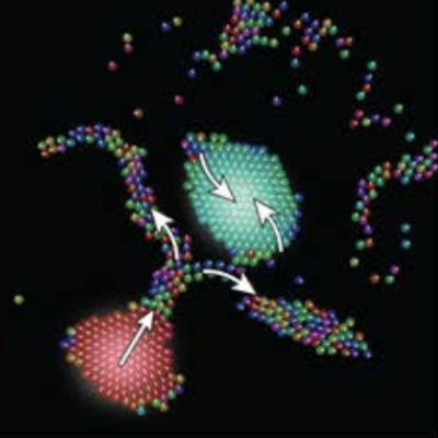 Scientists develop sound-based robot swarms
