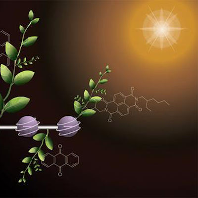 New molecule mimics plant photosynthesis for energy storage