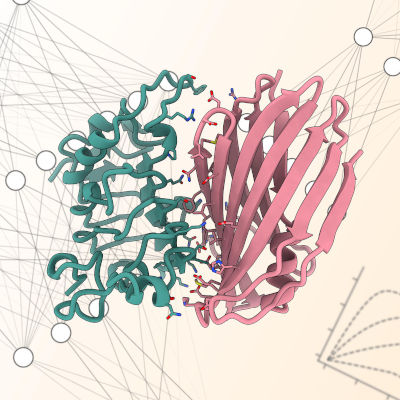 New tool simplifies protein binder design