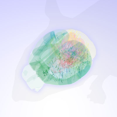 A new look at brain activity during decisions