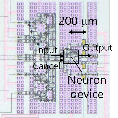 A superconductive neuron device for brain-like computing