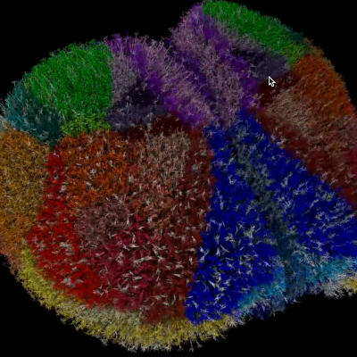 Researchers build detailed virtual model of mouse brain cortex